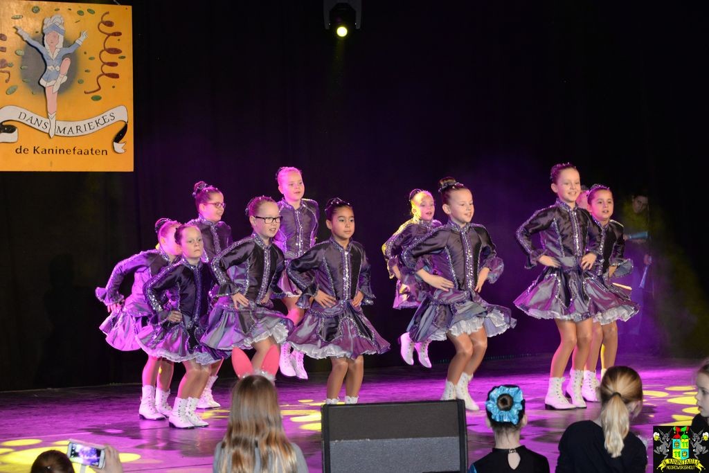 ../Images/Dansmarieke festival 2018 102.jpg